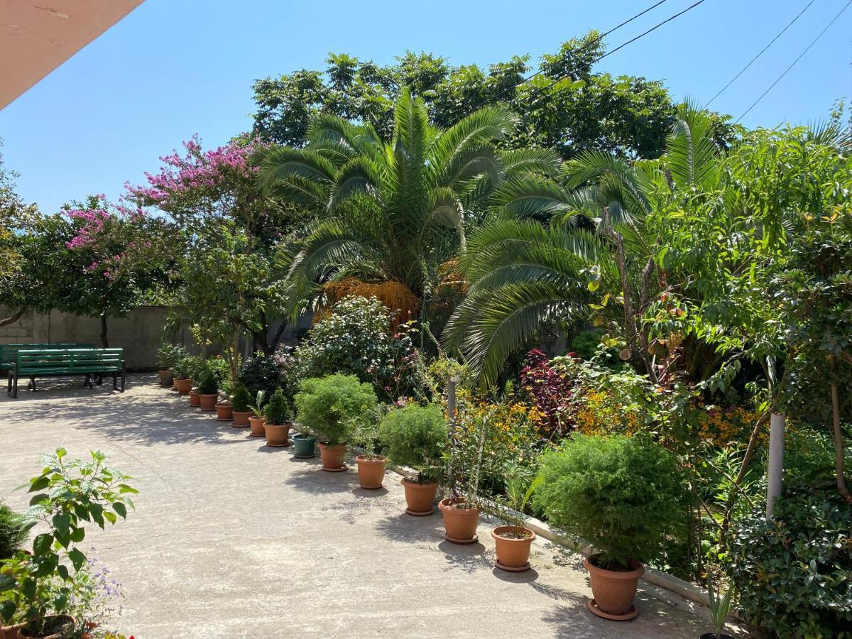 Jako Batumi Exteriér fotografie